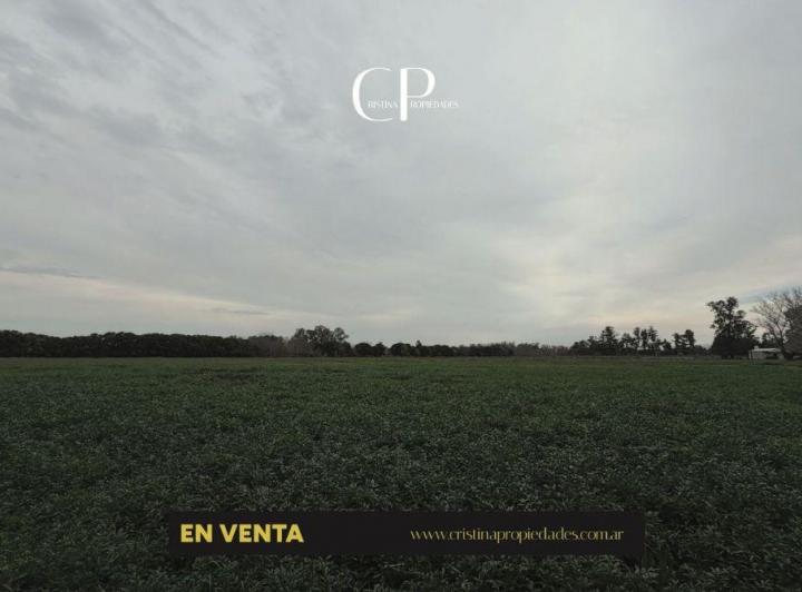 Campo · 43000m²