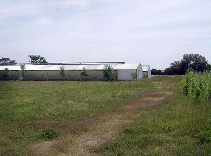 Quinta vacacional · 54m² · 2 Dormitorios · 1 Cochera