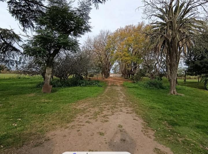Campo · 9ha