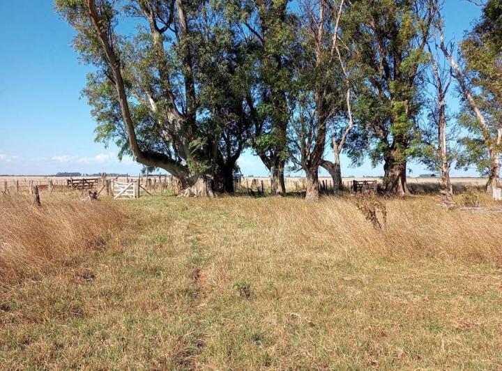 Campo · 1100000m²