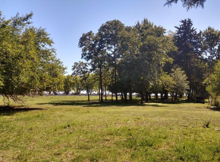 Terreno · 11700m²