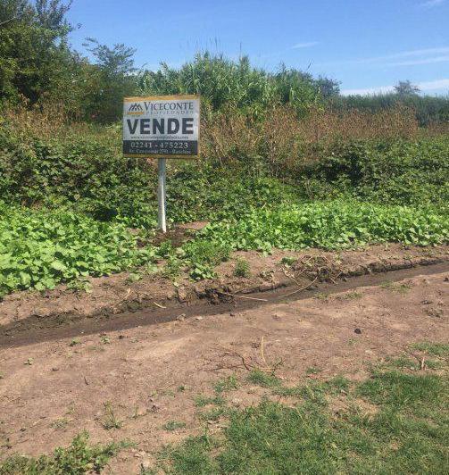 Terreno · 726m²