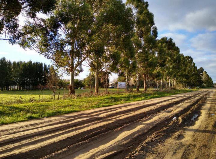 Terreno · 3975m²