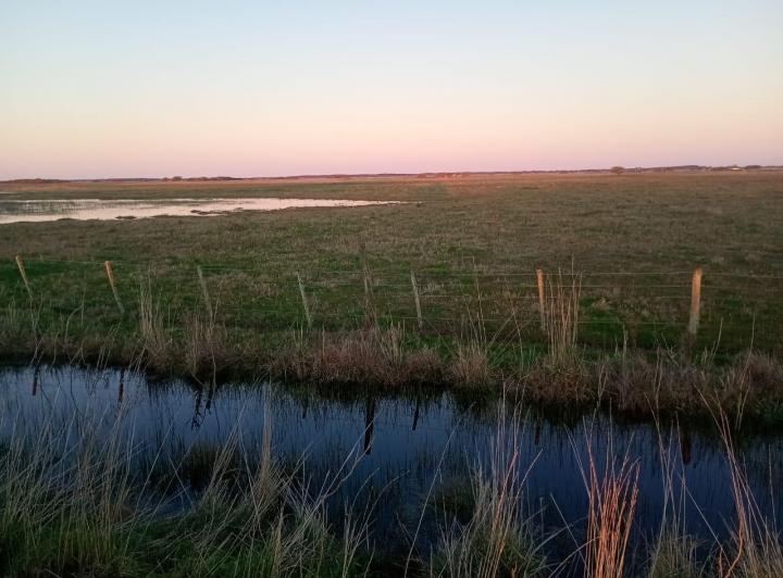 Campo · 170000ha