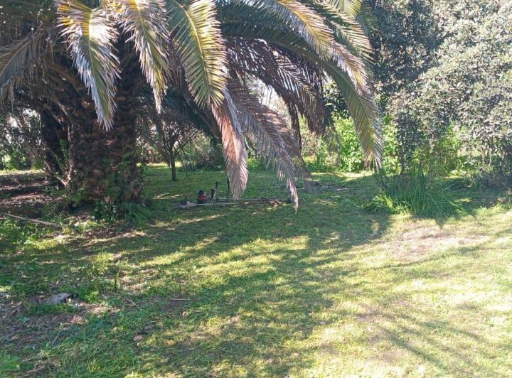 Terreno · 113m²
