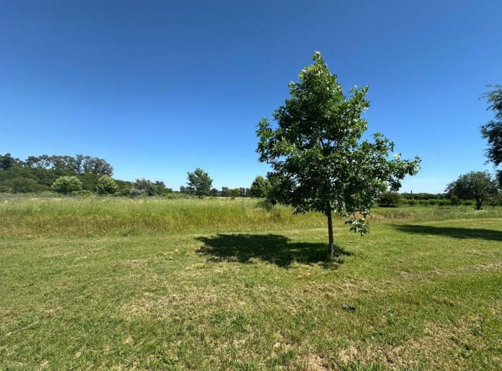 Terreno · 10000m²