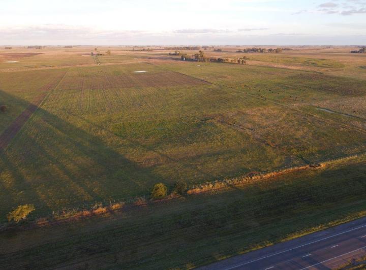 Campo · 1m²