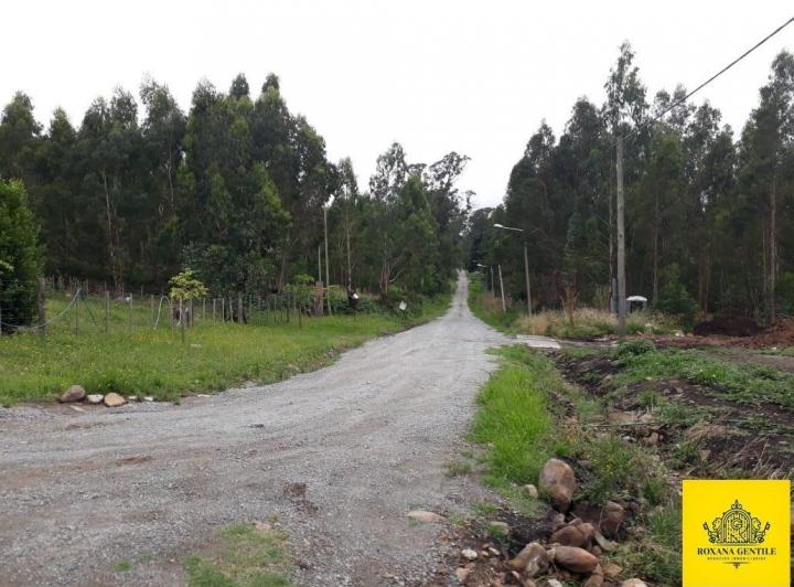Terreno · 4940m²