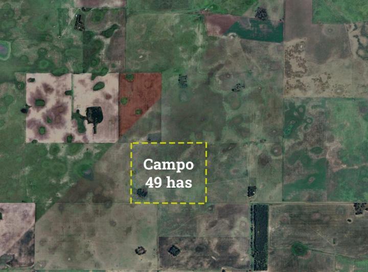Campo · 490000ha