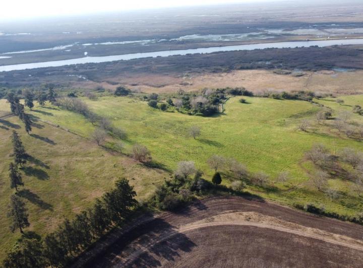Campo · 150000m²
