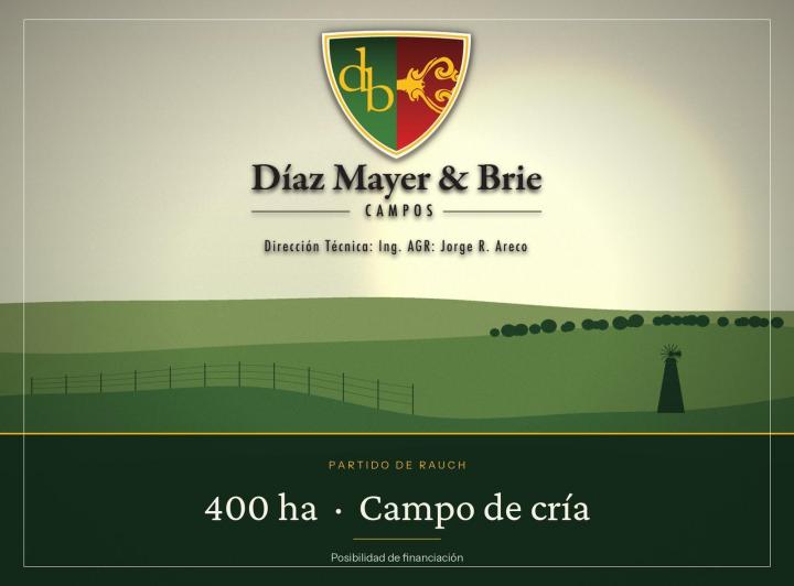 Campo · 4000000ha