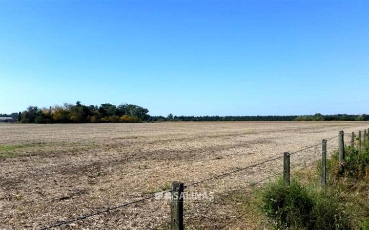 Terreno · 81100m²