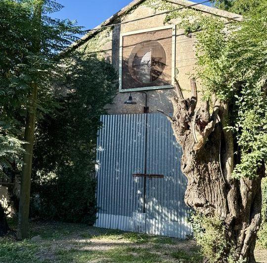 Bodega-Galpón · 273m² · 3 Ambientes