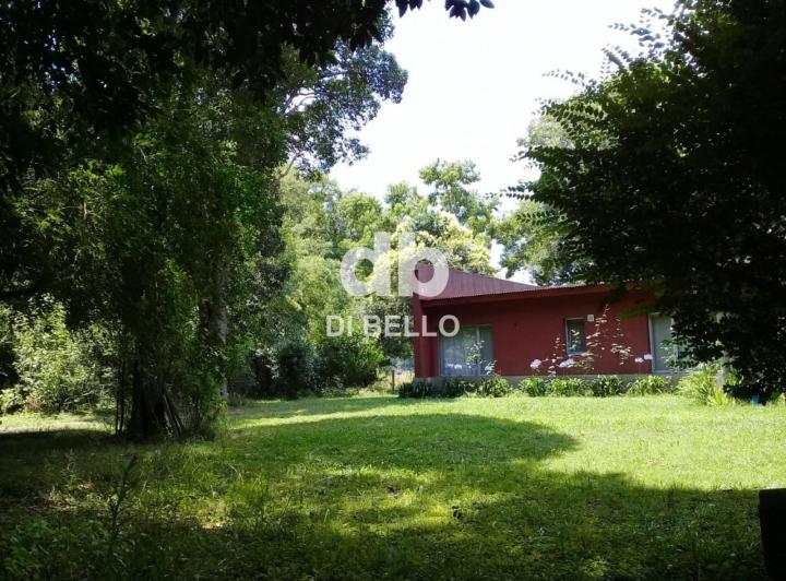 Casa · 300m² · 5 Ambientes · 1 Cochera