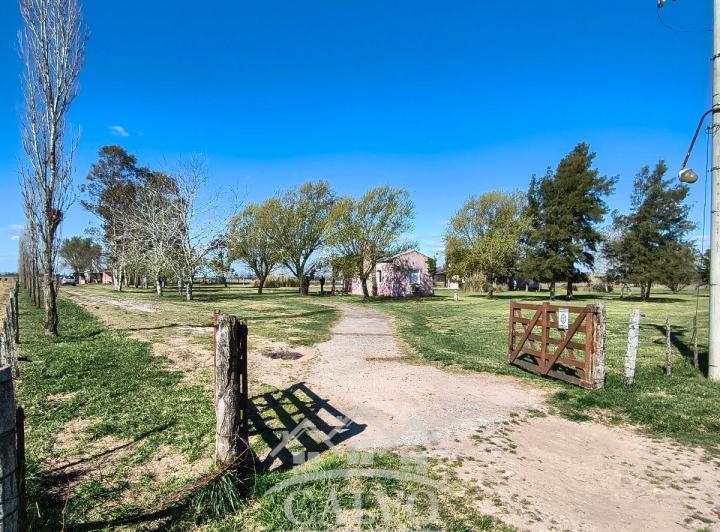 Campo · 486m²