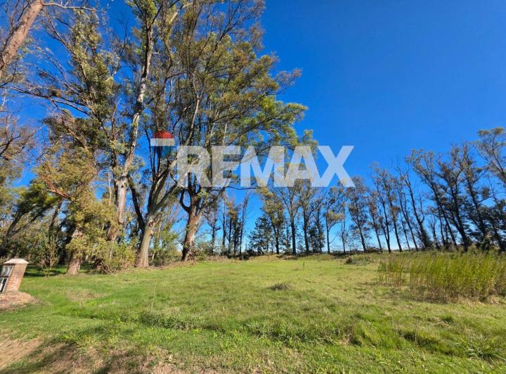 Terreno · 2895m²