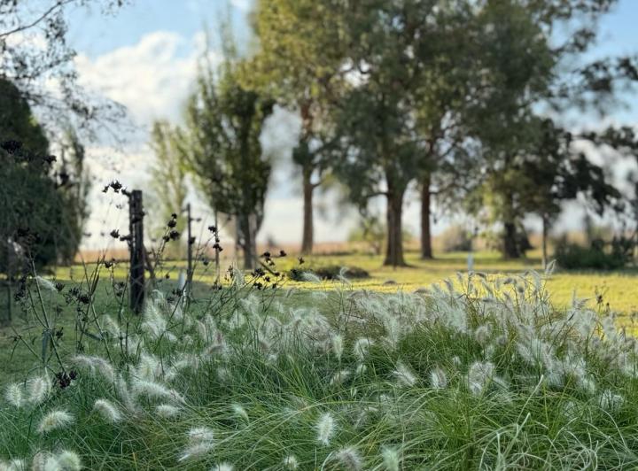 Campo · 160m² · 4 Ambientes
