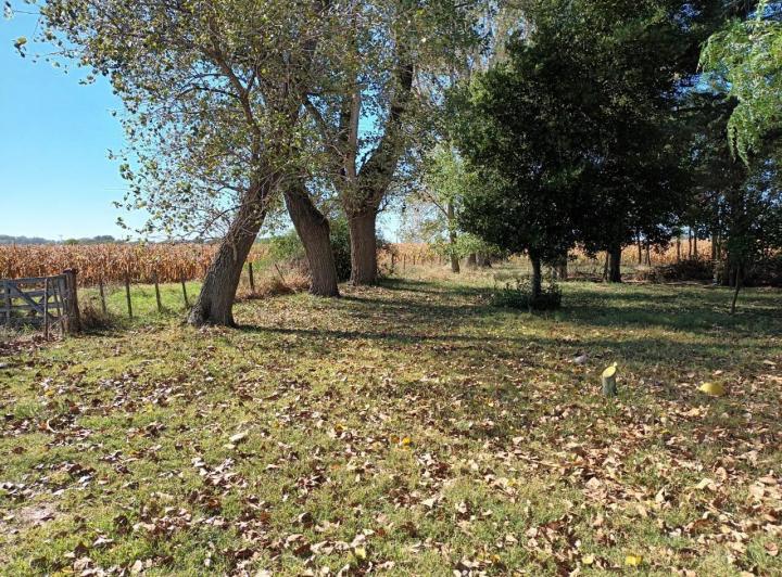 Campo · 450000ha