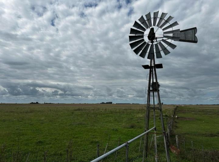 Campo · 3330000ha