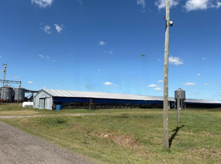 Campo · 330000ha