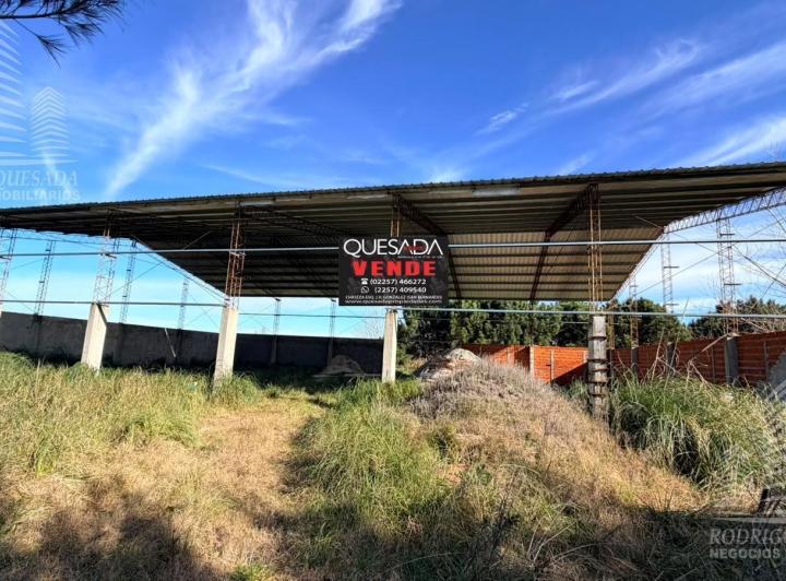 Bodega-Galpón · 600m²