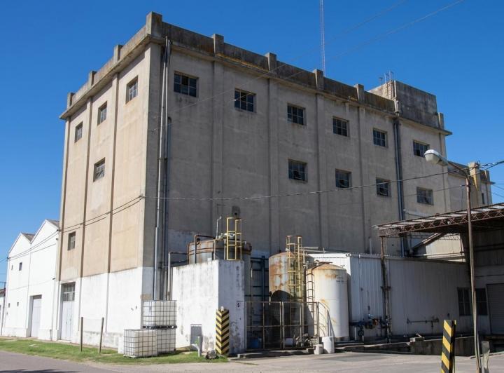 Bodega-Galpón · 12500m²