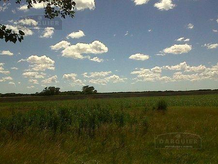Campo · 800000m²