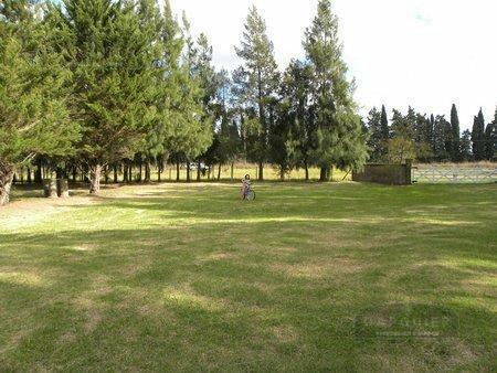 Campo · 100000m²