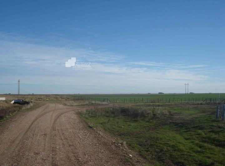 Campo · 1360m²