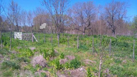 Terreno · 600m²