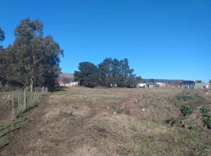 Terreno