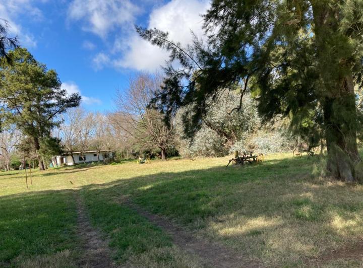 Campo · 450000m²
