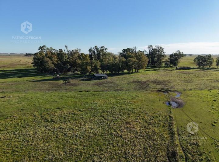Campo · 1900000ha · 8 Ambientes