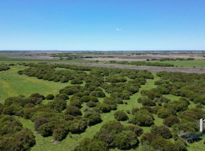 Terreno · 400000m²