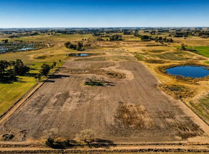 Campo · 13499m²