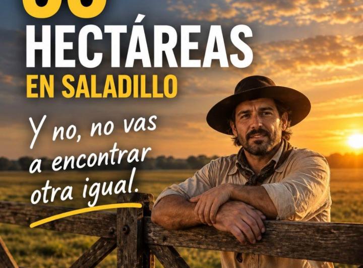Campo · 55m²