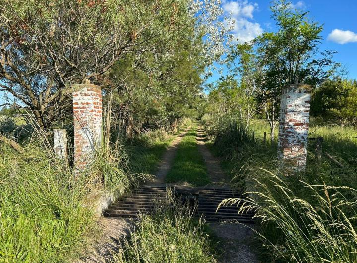 Terreno · 10000m²