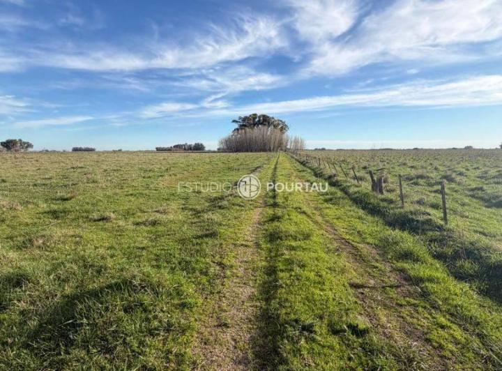 Campo · 1180000m²