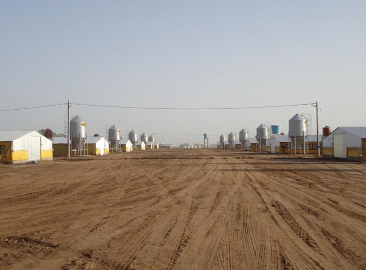 Campo · 60000m² · 15 Ambientes
