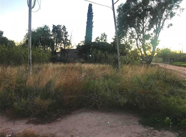 Terreno · 650m²
