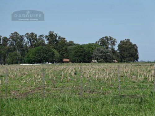 Campo · 11000000m²