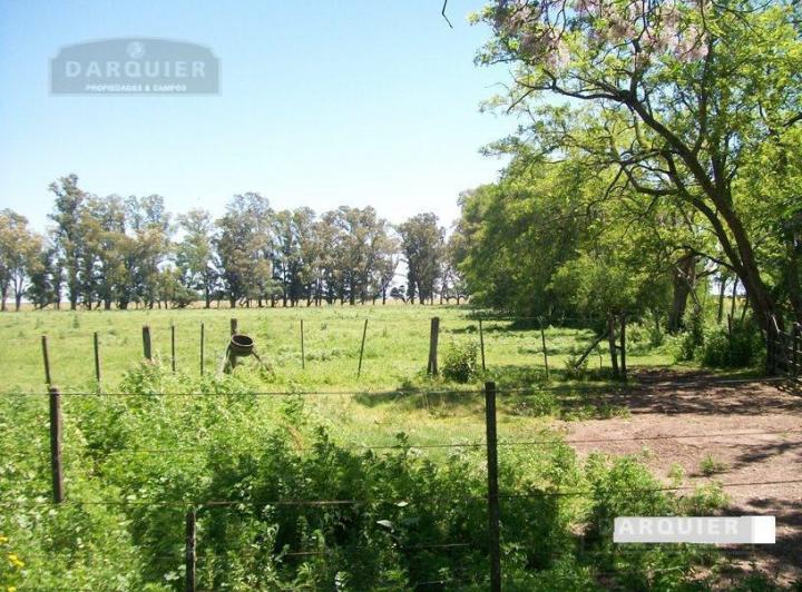 Campo · 448ha