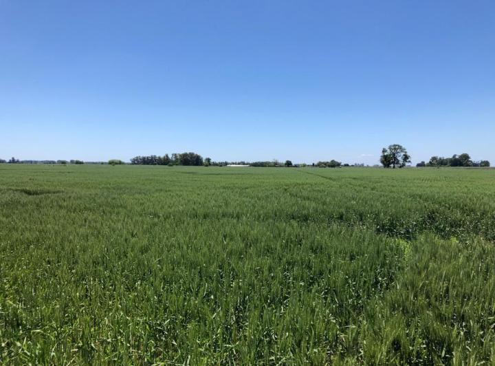 Campo · 96m²