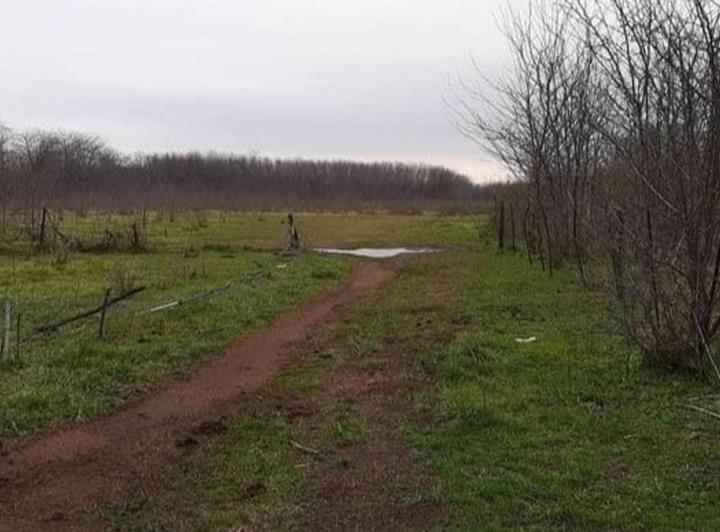 Terreno · 20000m²