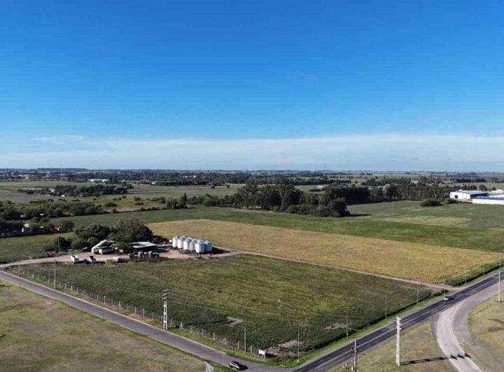 Campo · 15ha