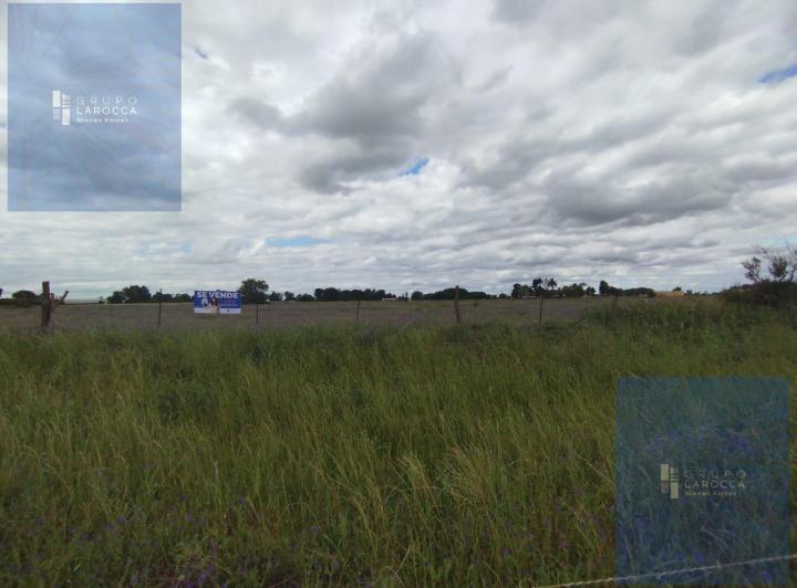 Campo · 10ha