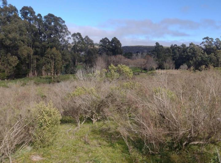 Terreno · 7500m²