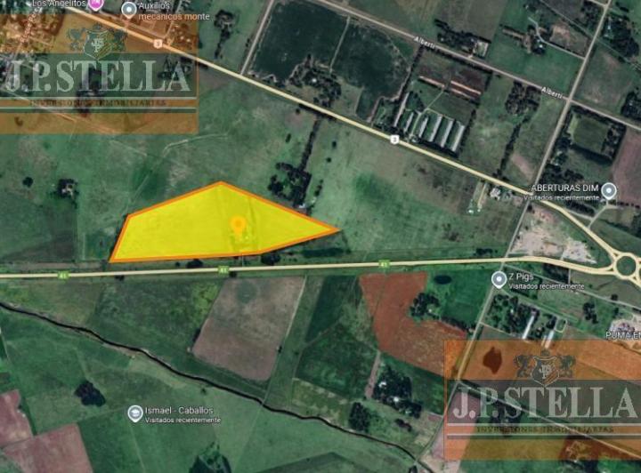 Campo · 269m²