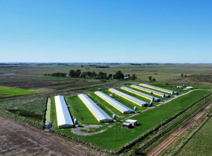 Campo · 10m²