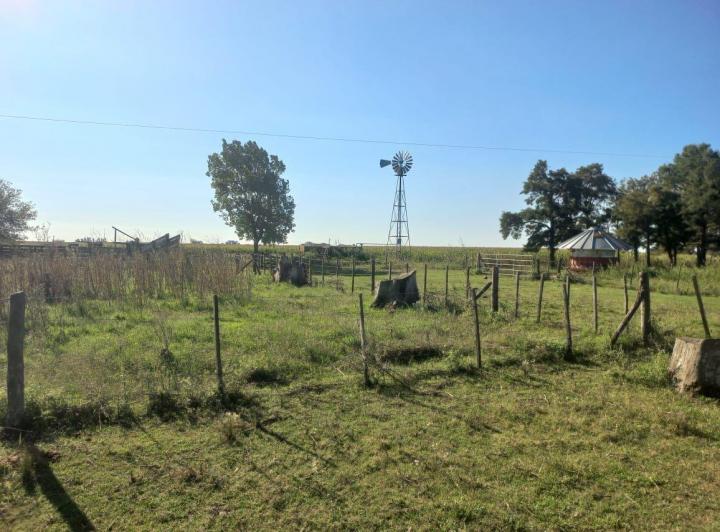 Campo · 1050000m²